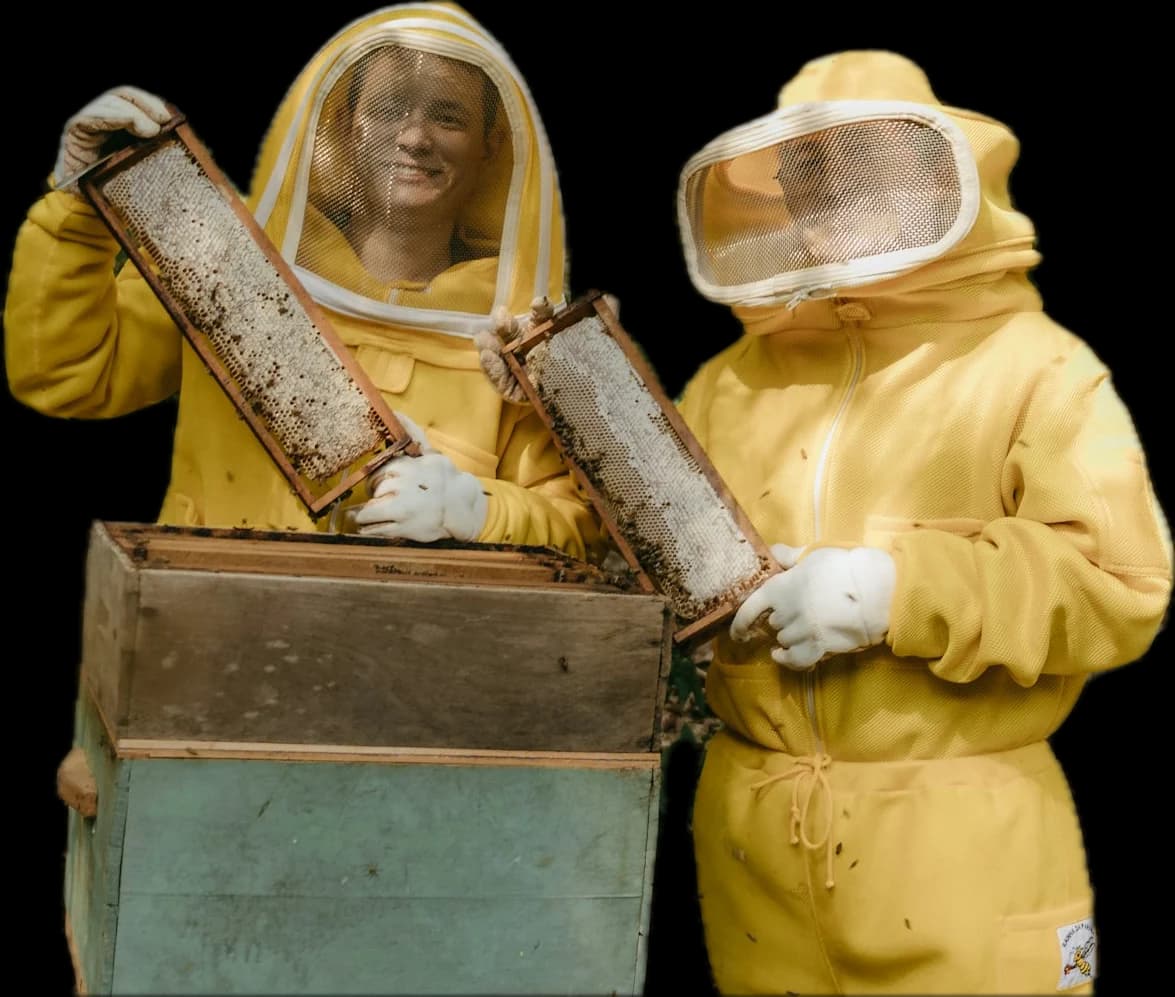 Two beekeepers in yellow suits lifting frames out of a hive